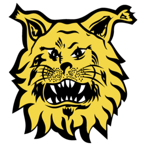 努爾米耶爾維NJS